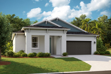 Calusa -  Lot #62